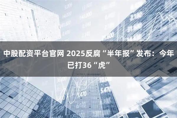 中股配资平台官网 2025反腐“半年报”发布：今年已打36“虎”